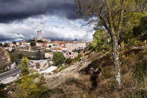 una ciudad en la cima de una colina con un árbol en Hotel Rural El Salero, en Torija 11 fotos más