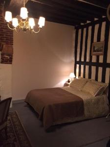 a bedroom with a bed and a chandelier at Auberge de villechaume in Sennely