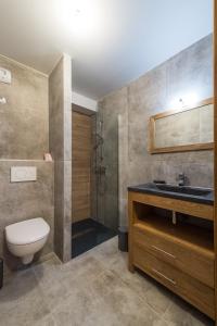 uma casa de banho com um WC, um chuveiro e um lavatório. em ODYSSEE CRC01 Appartement traversant sur les pistes em La Toussuire