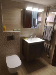 a bathroom with a toilet and a sink and a shower at Comfortable Apartment in Kato Toumpa in Thessaloniki