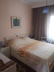 um quarto com uma cama grande e uma janela em Comfortable Apartment in Kato Toumpa em Tessalónica