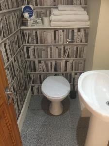 une salle de bains avec des toilettes et une étagère de livres. dans l'établissement Durnford St- Amazing location - free WiFi, à Plymouth