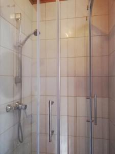 a bathroom with a shower with a glass door at Weingut und Gästehaus Vongerichten in Oberhausen