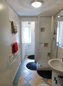 ein Bad mit einer Dusche und einem Waschbecken in der Unterkunft Ferienwohnung Sailer in Gmunden