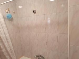 y baño con ducha y cortina de ducha. en Apartamento centro Santander, en Santander