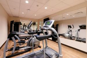 a gym with several treadmills and cardio machines at The Crimson Jasper in Jasper