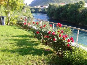 a row of flowers on a fence next to a river at Elite Guest House in Mostar