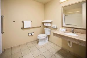 a bathroom with a toilet and a sink and a mirror at Holiday Inn Express & Suites Hill City-Mt. Rushmore Area in Hill City