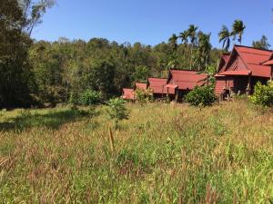 a house in the middle of a field of tall grass at Tree Lodge in Senmonorom