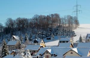 ein schneebedecktes Dorf mit Bäumen und einem Berg in der Unterkunft Ferienwohnung August 30 in Gelenau