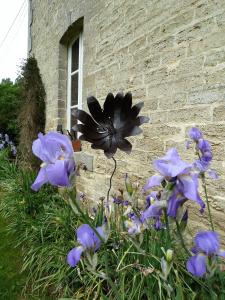 a bunch of purple flowers in front of a building at B&B L'Atelier du Presbytère in Saint-Maugan