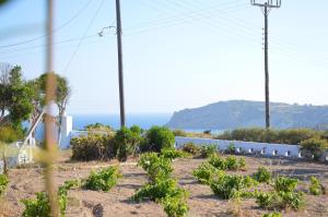 a garden with the ocean in the background at Errika's Sweet Home in Provatas