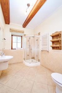 a bathroom with a shower and a toilet and a sink at Folwark Hutta in Suwałki