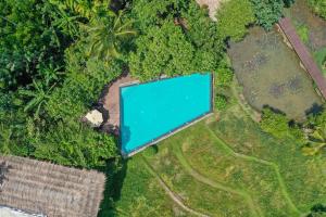 una vista aérea de una piscina azul en un bosque en Jetwing Kurulubedda, en Galle