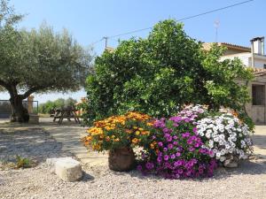 un ramo de flores en un jardín con un árbol en Casa El Ros II - Turistrat en Vall dʼAlba