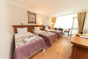 恰納卡萊的住宿－特萊阿圖桑酒店，酒店客房配有两张床和一张书桌