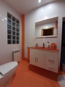 Un baño con inodoro, lavabo y espejo. en Casa Galipendre, en A Estrada 26 fotos más