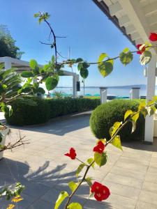 una planta con flores rojas en una acera en Skipper White Guest House, en Trevignano Romano