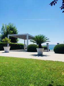 un parco con due grandi piante in vasi su un marciapiede di Skipper White Guest House a Trevignano Romano