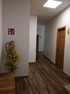 um corredor vazio de um escritório com uma fábrica em Apartamentos Antares 2 em Milladoiro