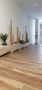 an empty room with potted plants on the wall at Apartamentos Antares 2 in Milladoiro