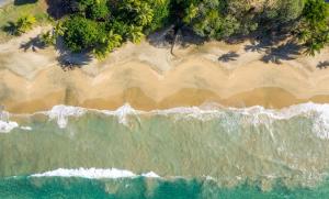 una vista aérea del océano y la playa en Plantation Beach Villas, en Black Rock
