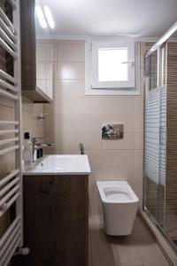 a small bathroom with a toilet and a sink at Apartment One in Drama +11 photos