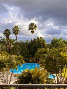 a resort with palm trees and a swimming pool at Estalagem Alter Real in Pirenópolis