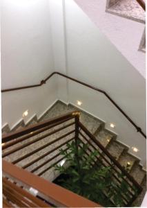 um estojo de escada com uma planta em vasos em Hotel Itabira em Itabira