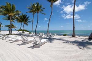 a row of chairs on a beach with palm trees at Chesapeake Beach Resort in Islamorada