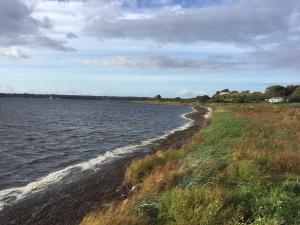 a shoreline of a body of water with grass at Ferienwohnung Torge in Glücksburg