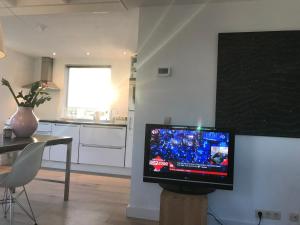 Telewizja i/lub zestaw kina domowego w obiekcie IJSSELMEER Lake houses