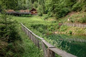 um comboio está a atravessar uma ponte sobre um rio em Landhof zum Waidegger Wirt em Waidegg