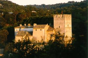 an old building with a castle on a hill at Château d'Esparron in Esparron-de-Verdon