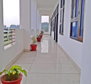 Sītāpur Mūāfi的住宿－Bindiram Express by ShriGo Hotels，建筑里空荡荡的走廊,有盆栽植物