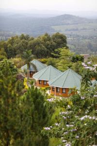 un grupo de casas en una colina con árboles en Top of The World Lodge, en Kikangala