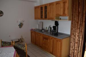 Kuchyňa alebo kuchynka v ubytovaní Apartmán Danuška Harrachov