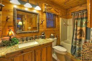 a bathroom with a sink and a toilet and a mirror at Big Buck Lodge in Blue Ridge +27 photos