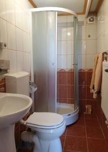 a bathroom with a shower and a toilet and a sink at Pensiunea Gernik 100 in Gârnic