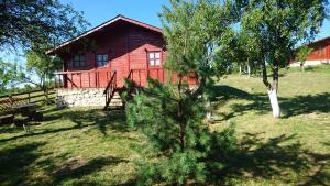 a red house with a tree in front of it at Pensiunea Gernik 100 in Gârnic