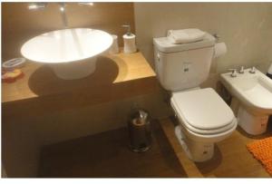 a bathroom with a white toilet and a sink at Bariloche Downtown 2 in San Carlos de Bariloche +5 photos