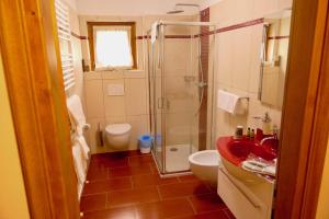 a bathroom with a shower and a sink and a toilet at Dream Hotel in Macugnaga