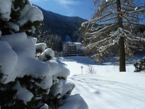 drzewo pokryte śniegiem z domem w tle w obiekcie Hotel Pineta w mieście Baselga di Pinè