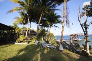 a group of chairs and palm trees on the beach at Coras Place Bacalar Lagoon front in Bacalar +36 photos
