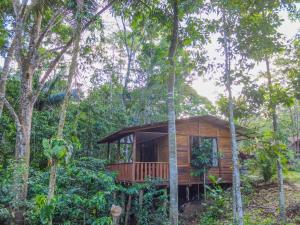 una cabaña en el bosque con árboles en Villa Celeste Katira, en Rio Celeste