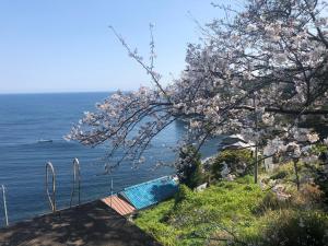 Φυσικό τοπίο κοντά σε αυτό το ryokan