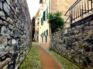 eine Gasse mit einer Steinmauer und einer Pflanze in der Unterkunft Bellissima casa nel centro storico!!! in Levanto