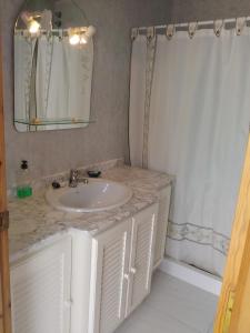 un bagno con lavandino e tenda da doccia di Villa Montsià a Sant Carles de la Ràpita