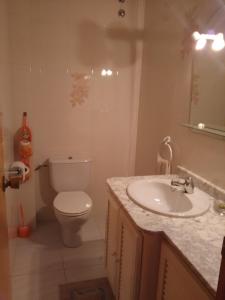 un bagno con un water e un lavandino di Villa Montsià a Sant Carles de la Ràpita Altre 23 foto