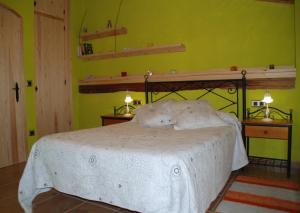 1 dormitorio con 1 cama en una habitación con paredes verdes en Casa La Catalina III, en Beceite